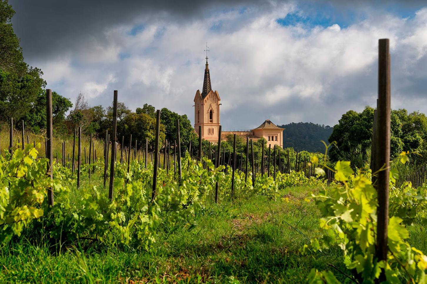 Sant Pere Del Bosc Hotel&spa Hotel